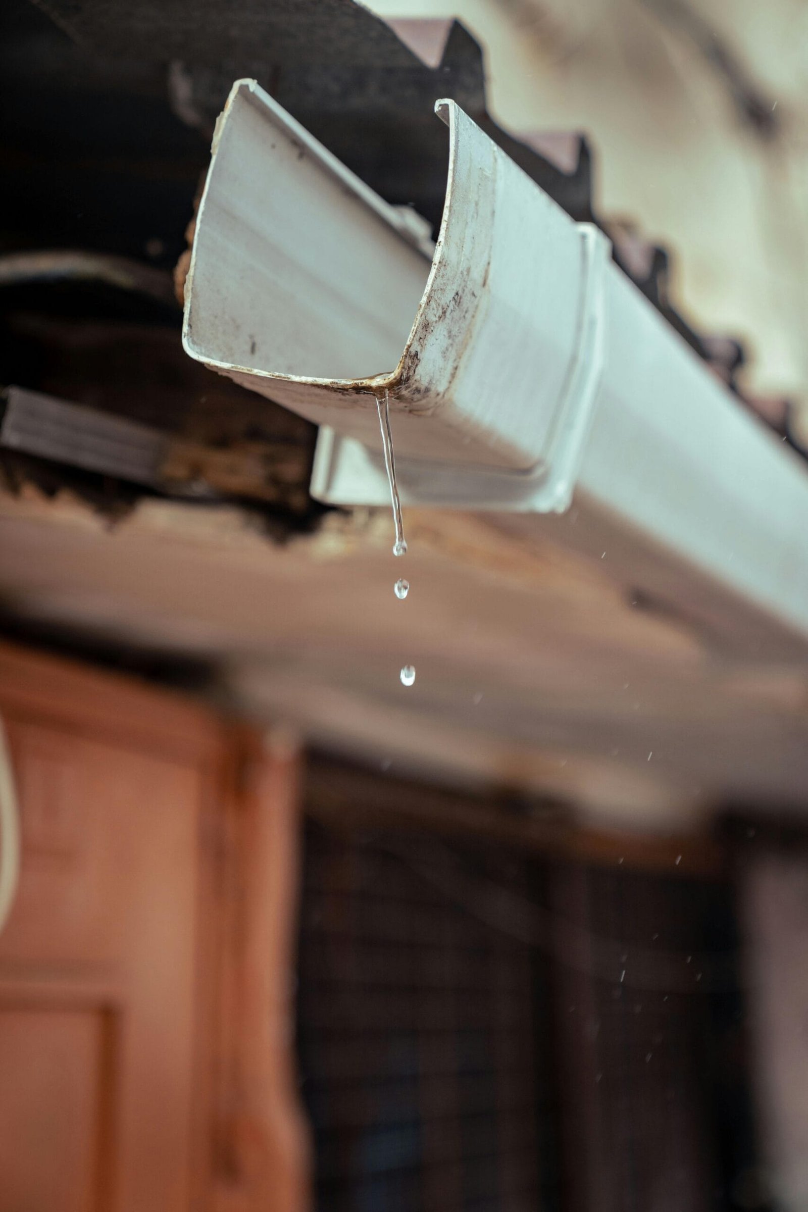 Sanitäranlagen schützen: Warum Rohrreinigung sich lohnt